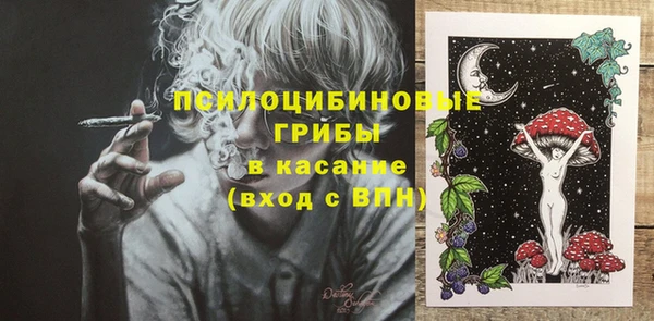 ГАЛЛЮЦИНОГЕННЫЕ ГРИБЫ Абинск
